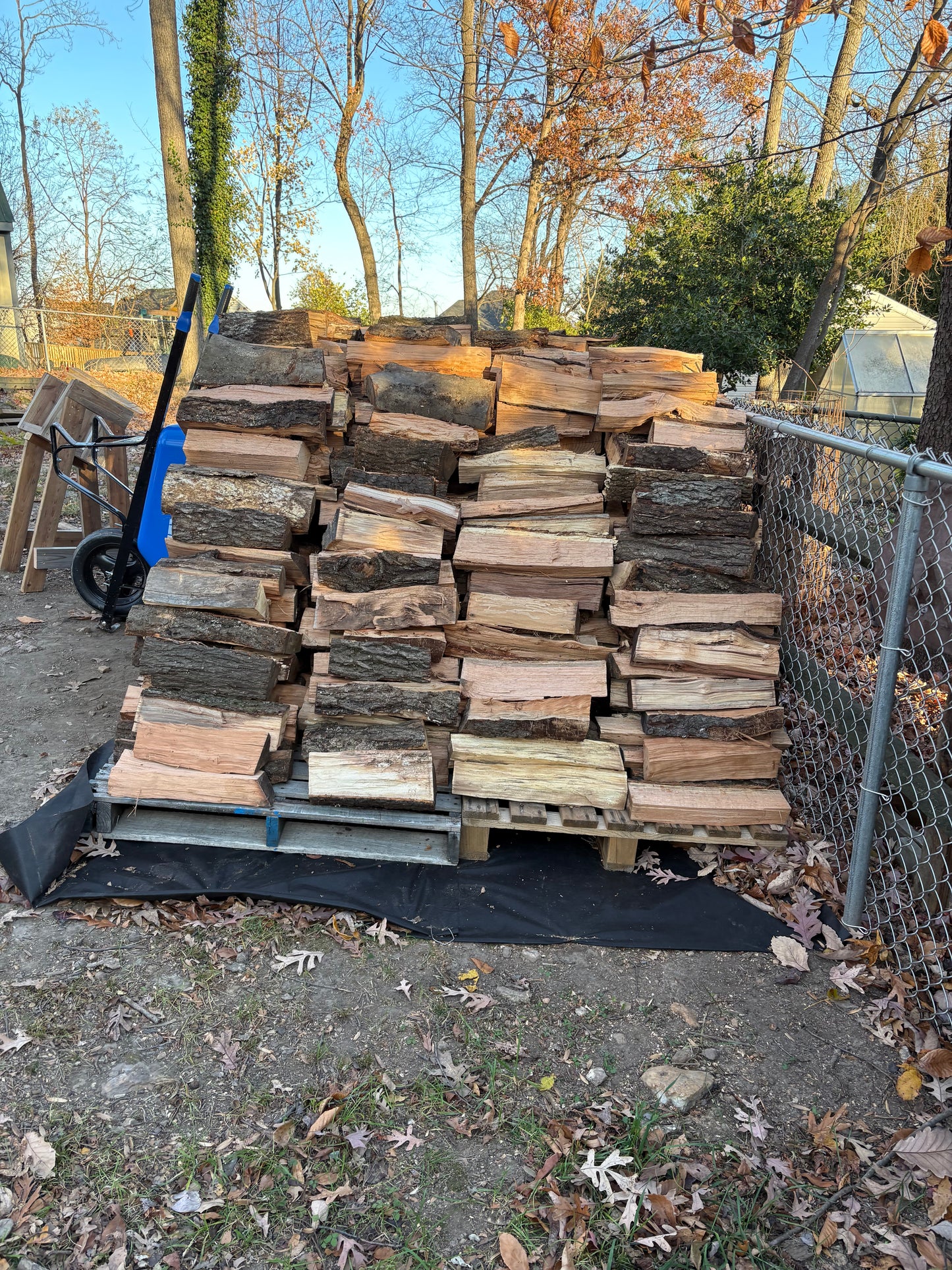 8 Piece Fire Wood Bundle